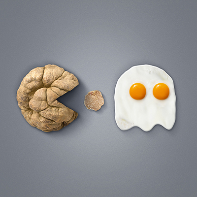 Visual Fiera Internazionale del Tartufo Bianco d'Alba